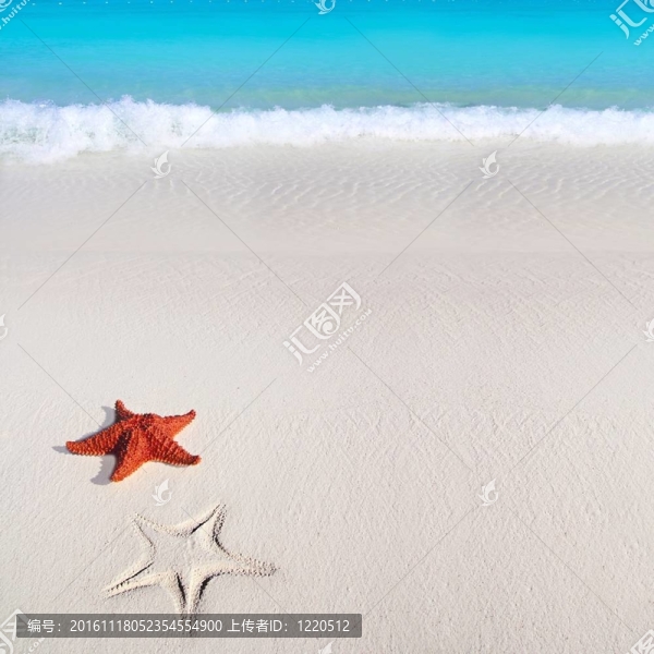 加勒比海星熱帶沙灘綠松石海灘
