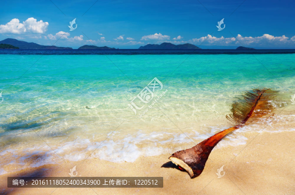 熱帶海灘