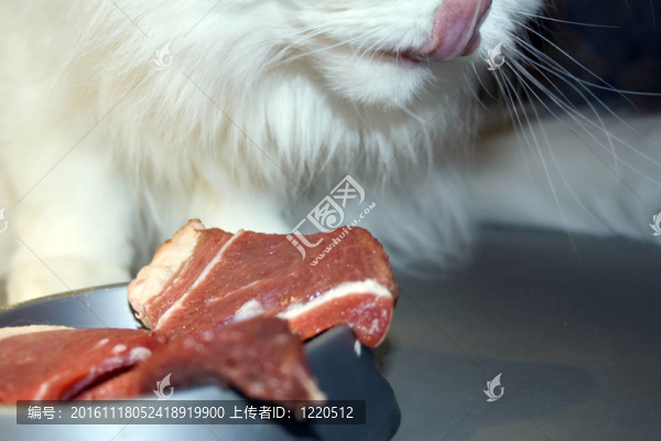 捕食者