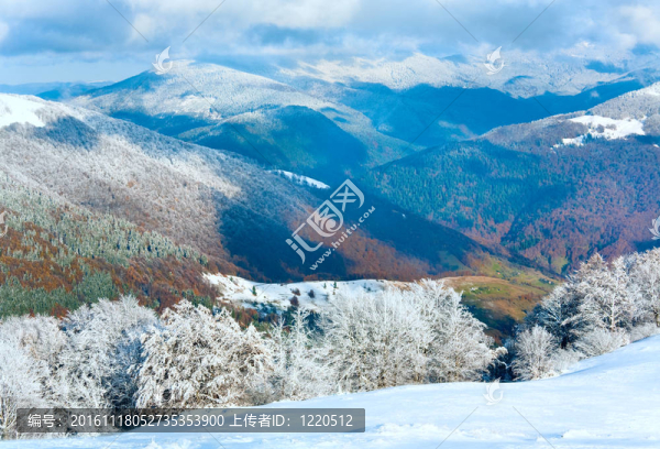 第一次冬季雪和高山山毛櫸森林
