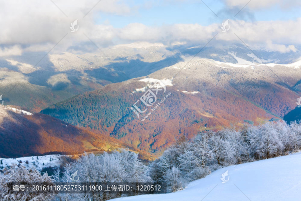 第一次冬季雪和高山山毛櫸森林