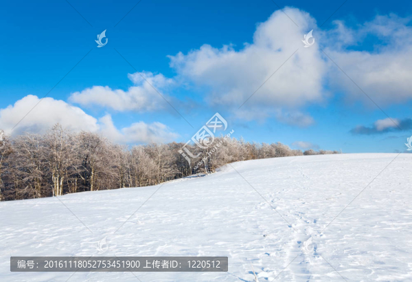 第一次冬季雪和高山山毛櫸森林