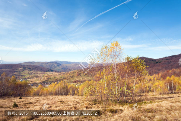 秋天的鄉(xiāng)村景觀（喀爾巴阡；烏克蘭）。