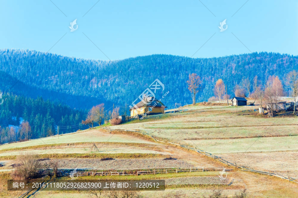 秋天的山村（喀爾巴阡；烏克蘭）。