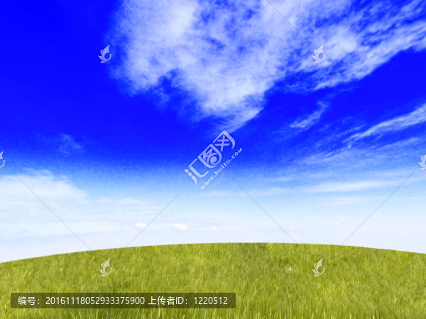 麥田