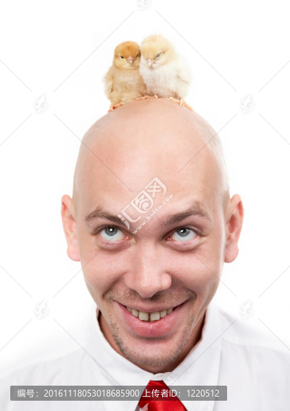 小雞