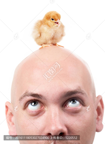 復(fù)活節(jié)的象征