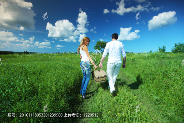 去野餐
