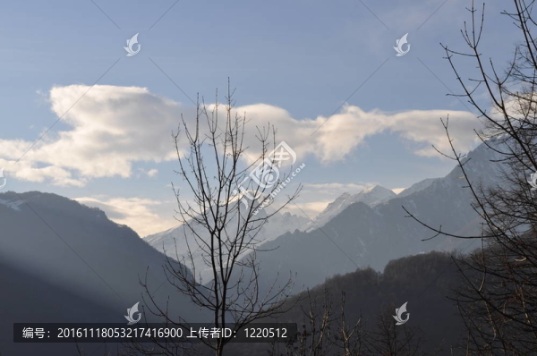山冬景