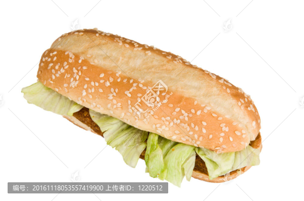 孤立的雞肉三明治
