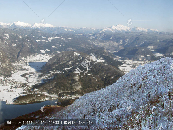 波希涅湖。Julian,Alps。斯洛文尼亞