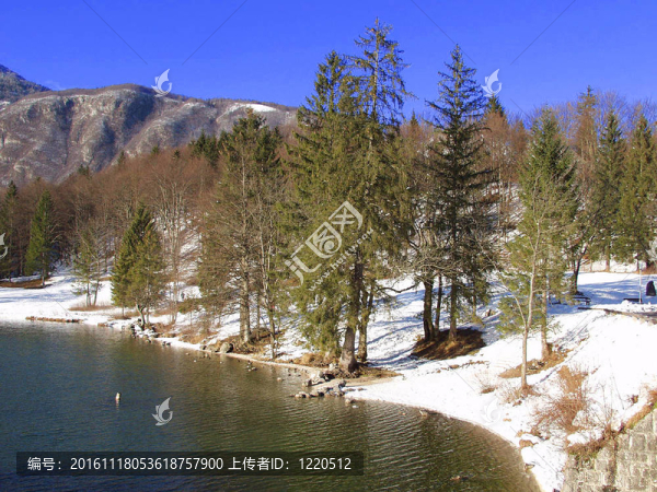 波希涅湖。Julian,Alps。斯洛文尼亞