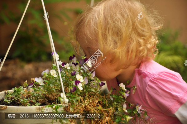 孩子聞花香