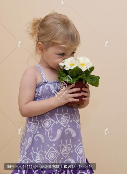 女孩抱著白色的花聞它