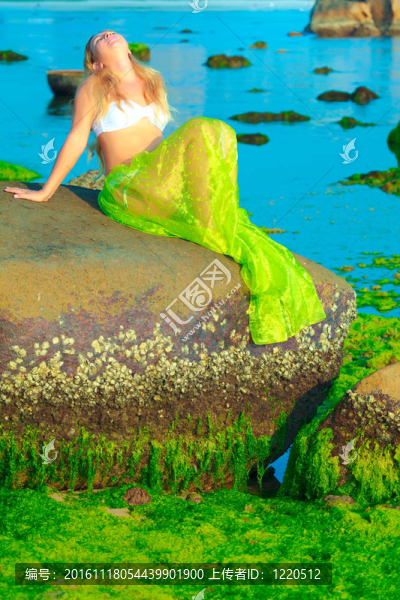 美人魚