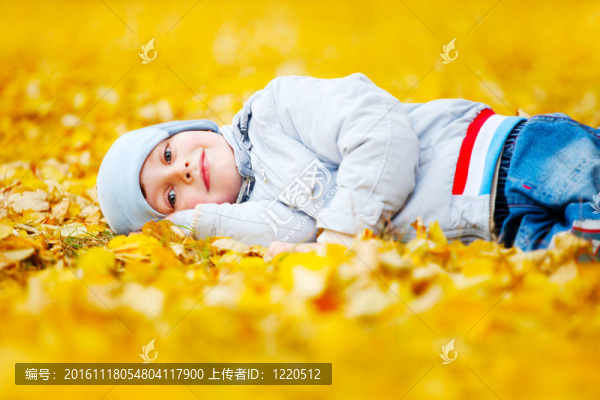 躺在黃色葉子上的小男孩