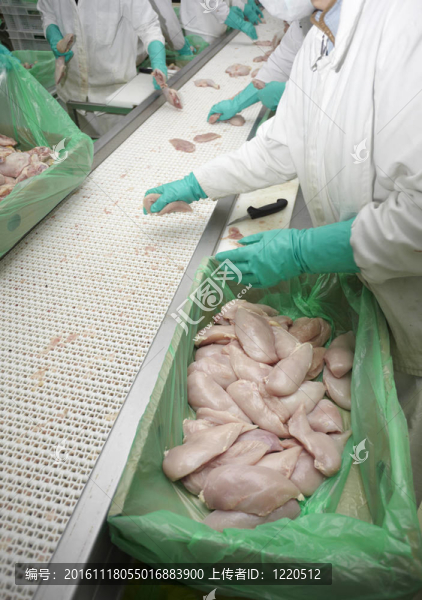 家禽加工肉類食品工業(yè)