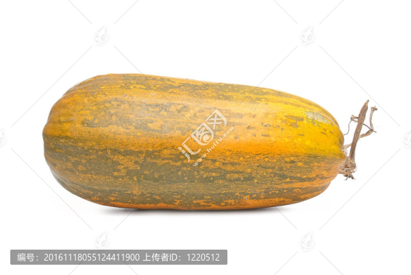 單一的新鮮南瓜