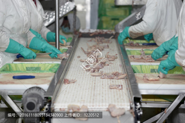 家禽加工肉類食品工業(yè)