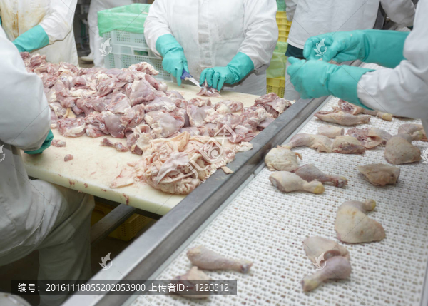 家禽加工肉類食品工業(yè)