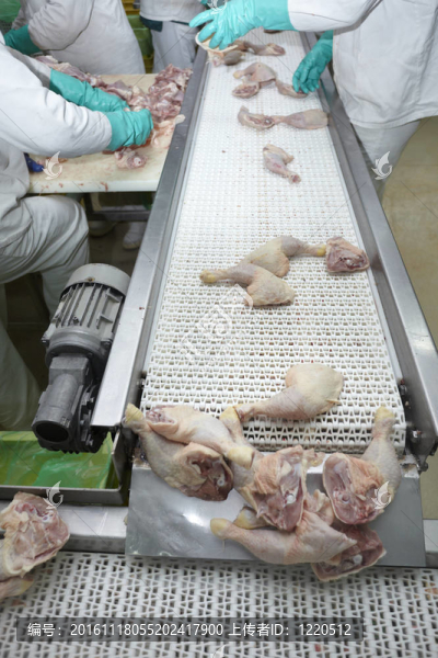 家禽加工肉類食品工業(yè)