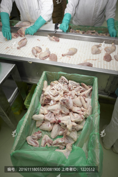 家禽加工肉類食品工業(yè)