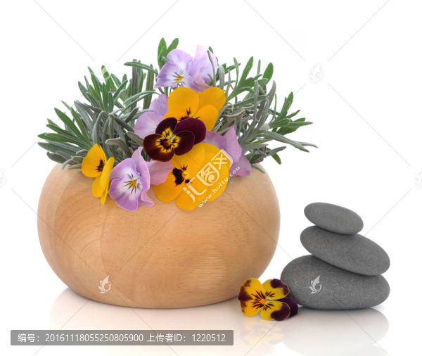 草藥與花卉療法-匯圖網(wǎng) www.fosd68.com 草藥與花卉療法