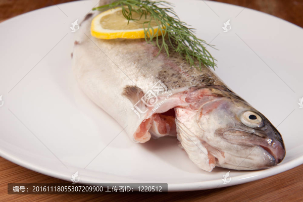 魚鱒魚餐板