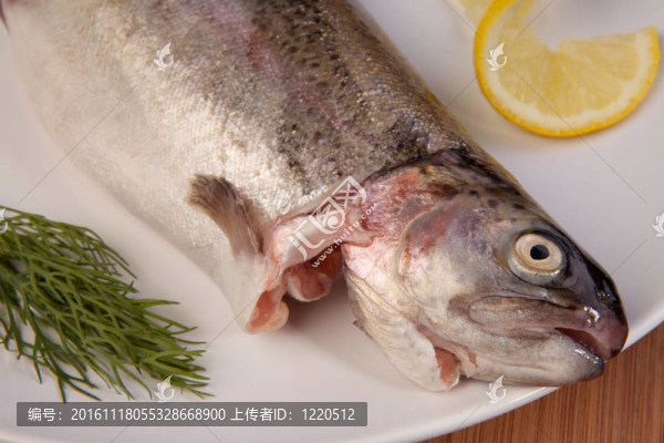 魚鱒魚餐板