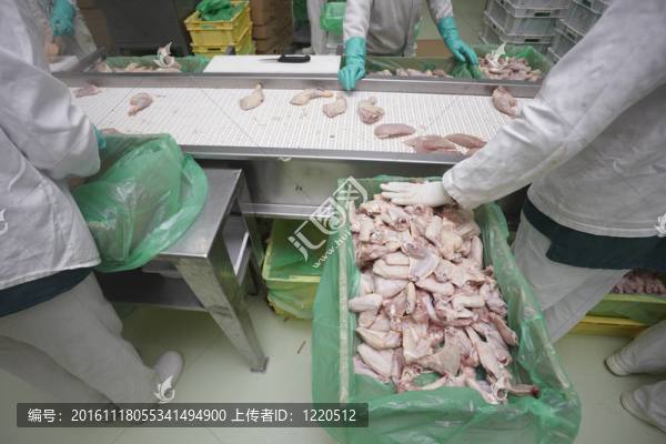 家禽加工肉類食品工業(yè)