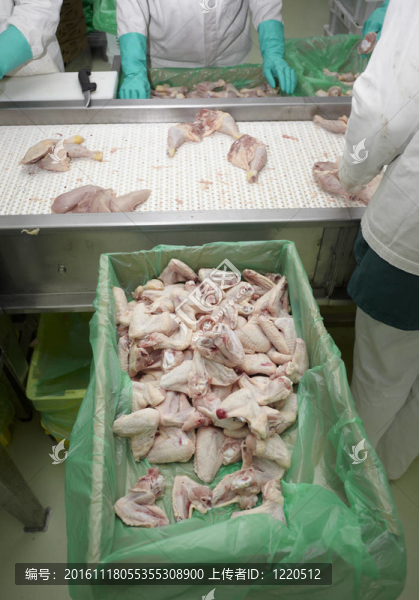 家禽加工肉類食品工業(yè)