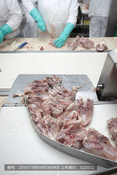 家禽加工肉類食品工業(yè)