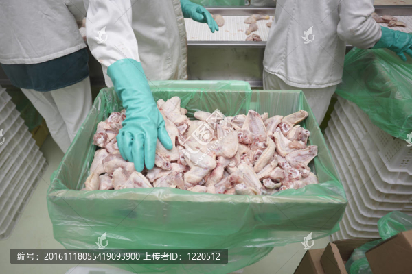 家禽加工肉類食品工業(yè)