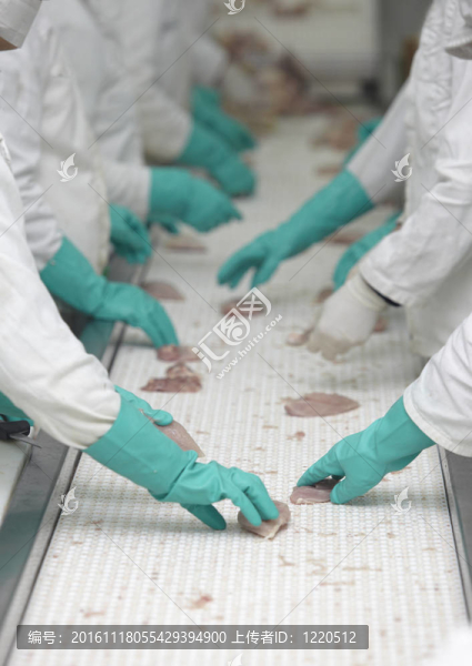 家禽加工肉類食品工業(yè)