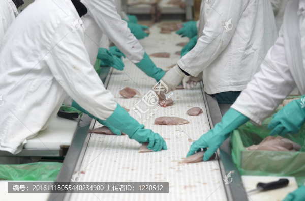 家禽加工肉類食品工業(yè)