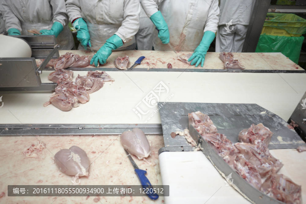 家禽加工肉類食品工業(yè)