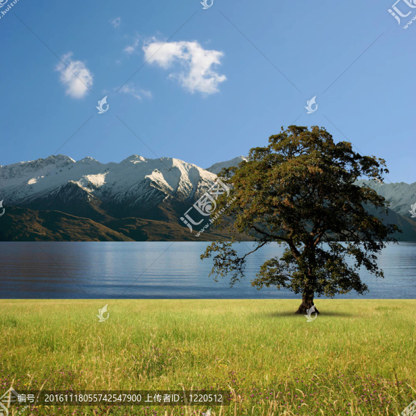 湖景觀