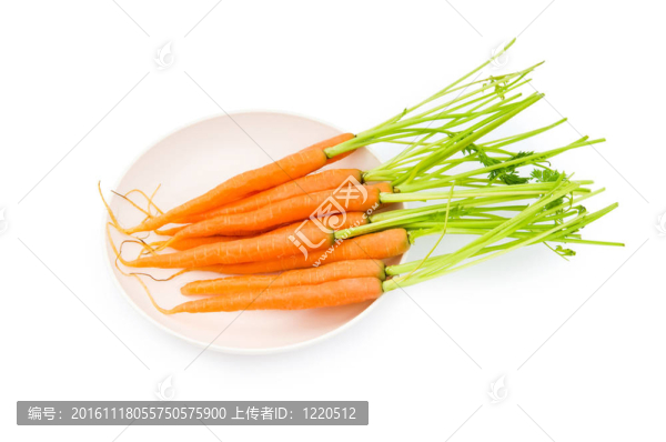 在白色的新鮮胡蘿卜上