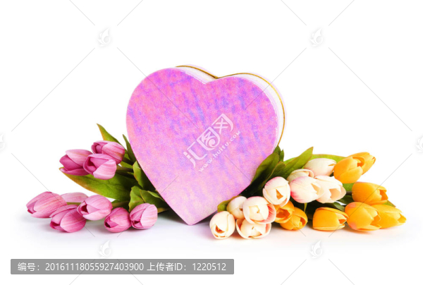 慶祝理念-禮品盒和郁金香花