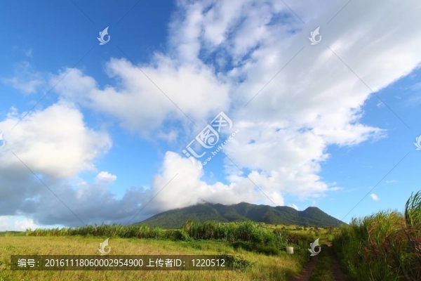 圣基茨島山liamuiga