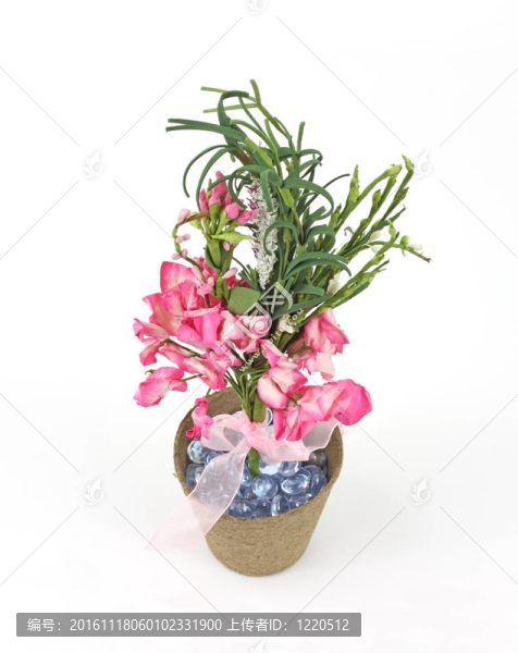 泥炭盆里的紙花