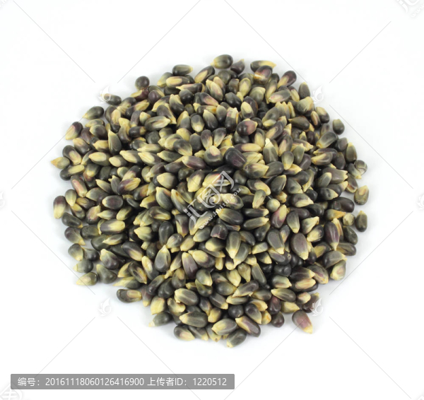 黑色的爆米花