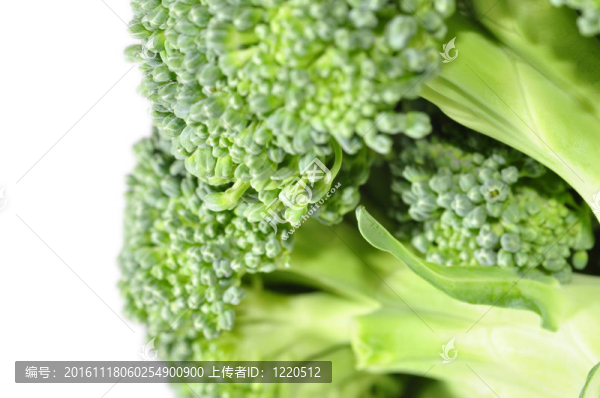 西蘭花