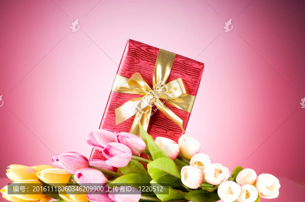 慶祝理念-禮品盒和郁金香花