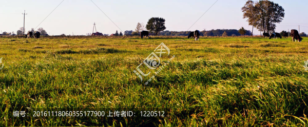 領(lǐng)域-匯圖網(wǎng) www.fosd68.com 領(lǐng)域