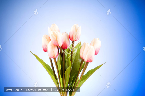 桌上五顏六色的郁金香花束