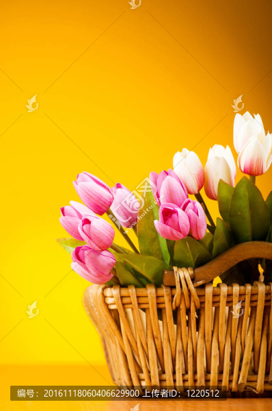 桌上五顏六色的郁金香花束