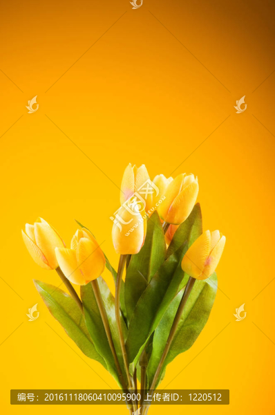 桌上五顏六色的郁金香花束