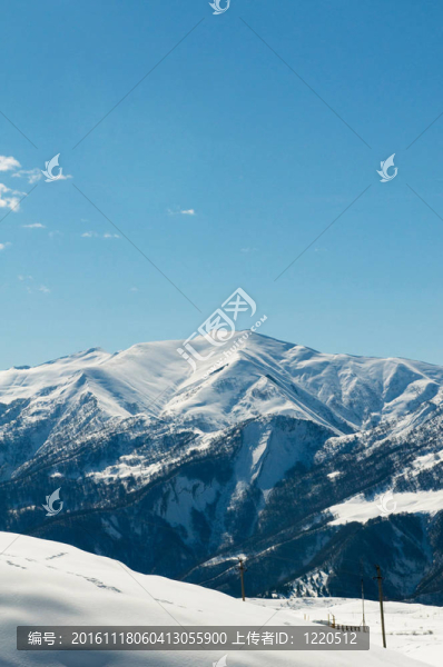 在冬天的雪下的高山