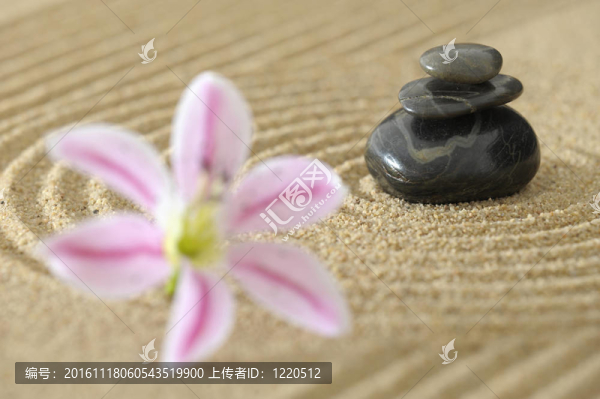 沙禪園